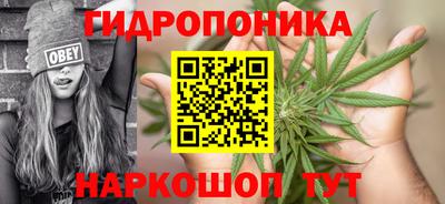 2c-b Новозыбков