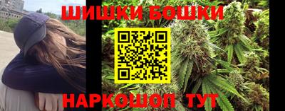 2c-b Новозыбков