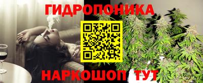 бошки Новодвинск