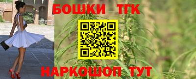 МДПВ Новокубанск