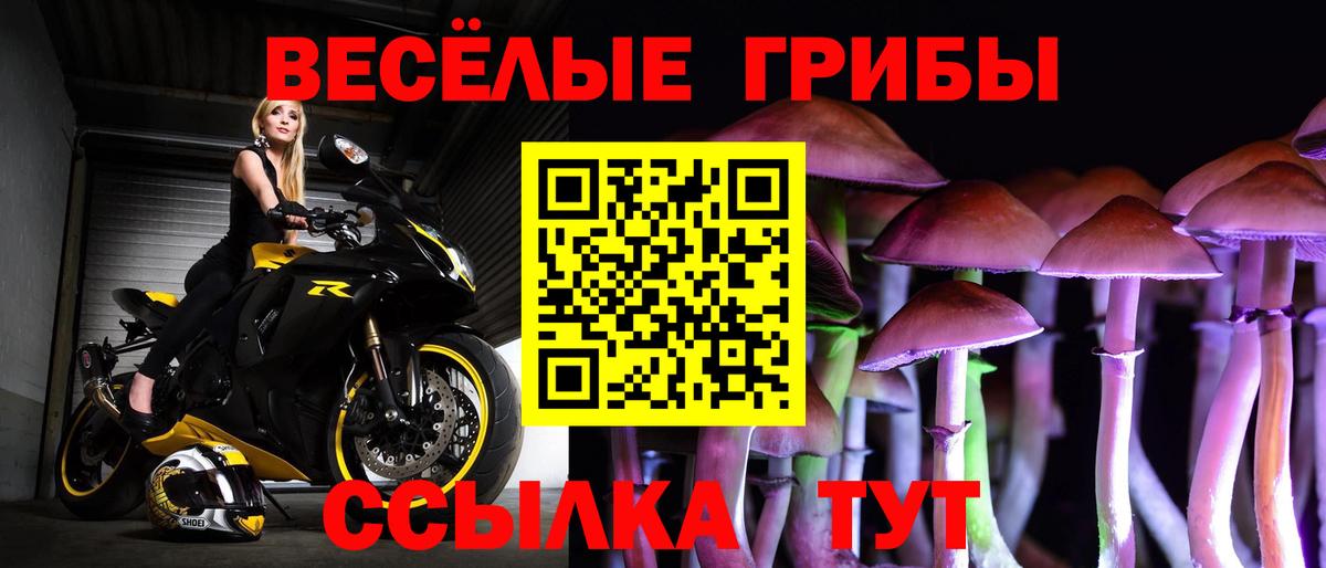 Галлюциногенные грибы GOLDEN TEACHER  Вход с VPN  Трёхгорный 